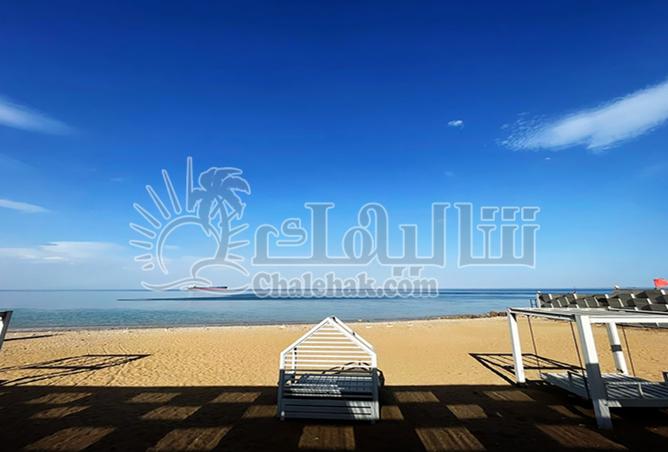 8028010 - صورة العقار 2