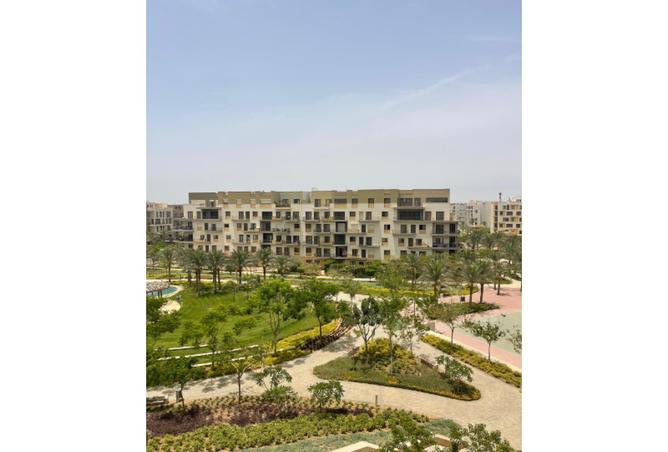 8201156 - Property Image 3