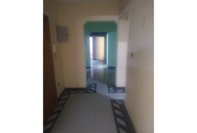 8339388 - Property Image 2