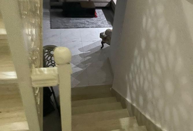 8218260 - Property Main Image