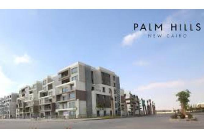 8421419 - Property Image 3