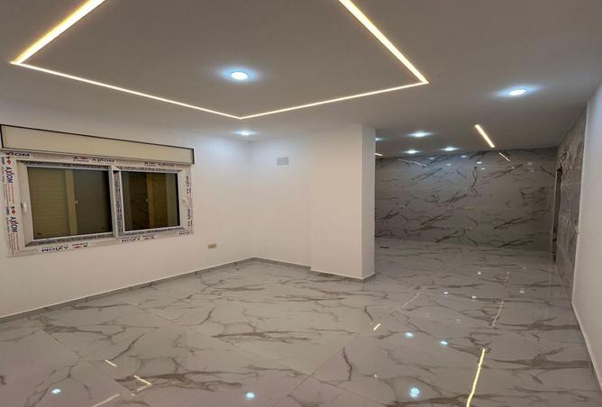 8193823 - Property Image 2