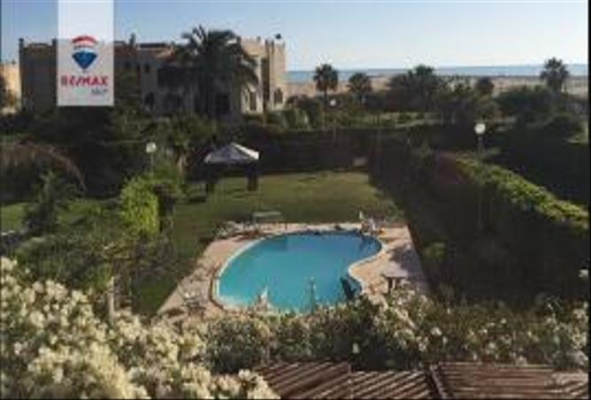 8199289 - صورة العقار 3