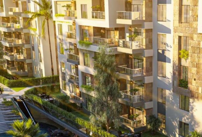 8490916 - Property Image 2