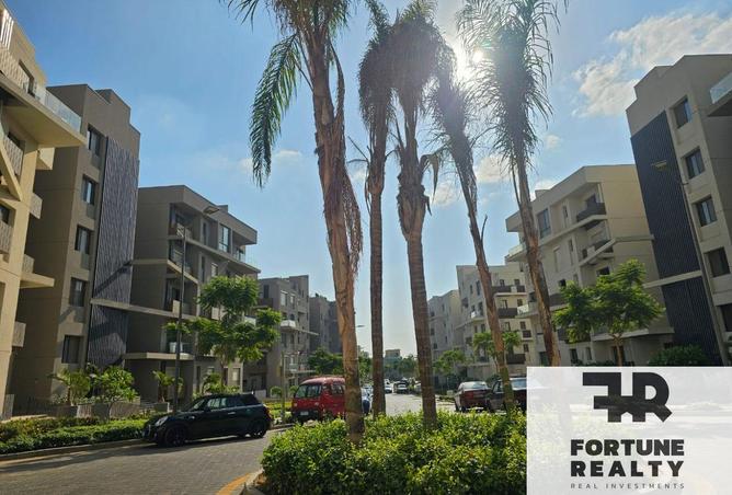 8341381 - Property Image 2