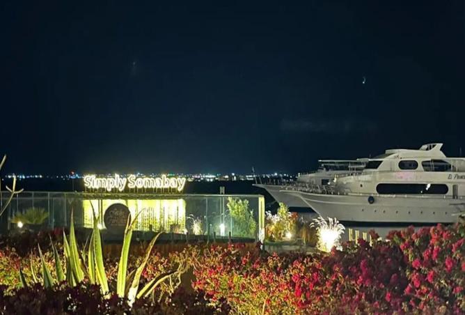8001176 - صورة العقار 2