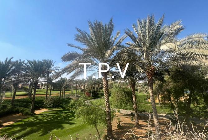 8281403 - صورة العقار 2