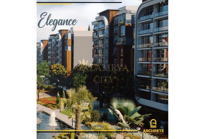 7976251 - Property Image 3