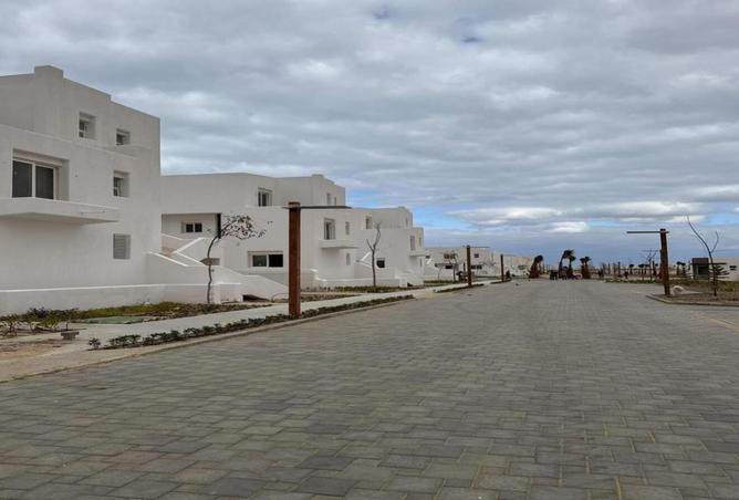 8234984 - صورة العقار 3