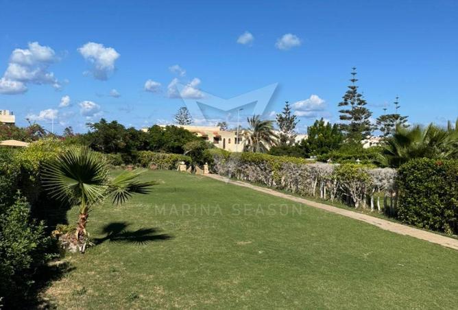 8339142 - Property Image 3