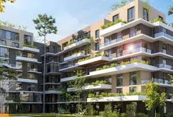 7933083 - Property Image 2