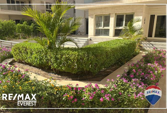 8297190 - صورة العقار 3