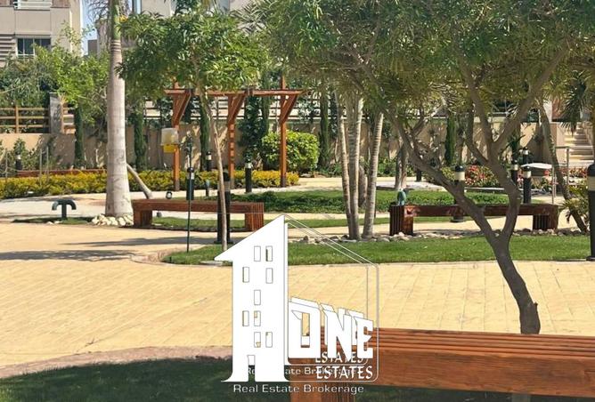 8426733 - Property Image 2