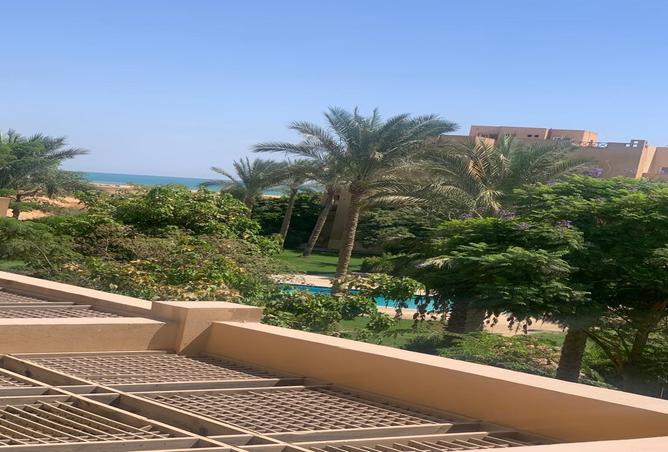 7976674 - Property Image 3