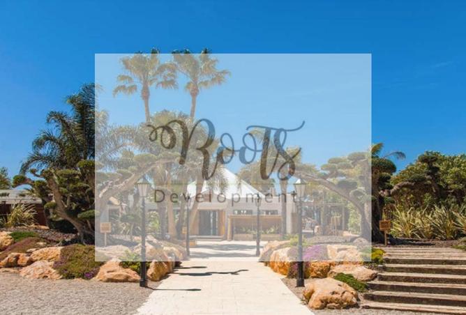 8067420 - Property Image 3