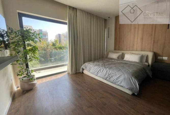8152181 - Property Image 2