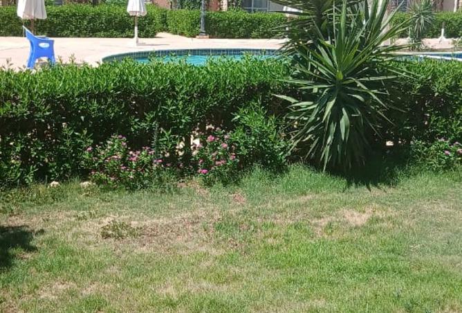 8474622 - Property Image 2