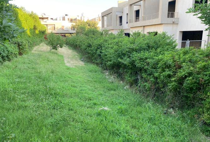 8040709 - صورة العقار 2