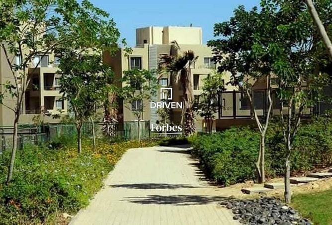 8046677 - Property Image 2