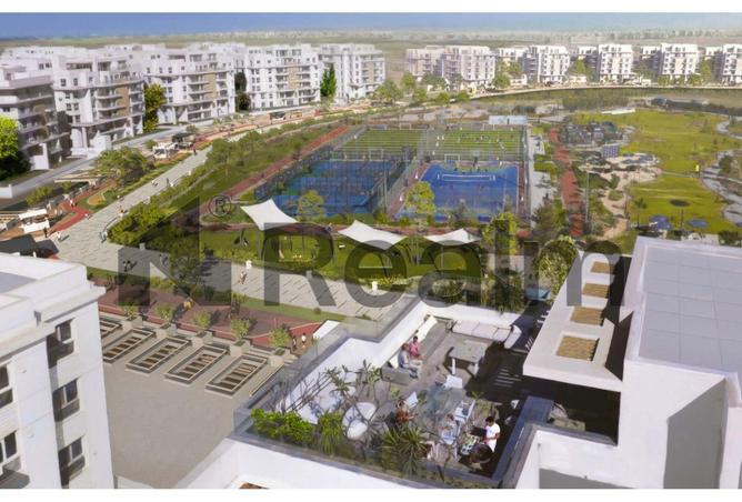 8175235 - Property Image 3