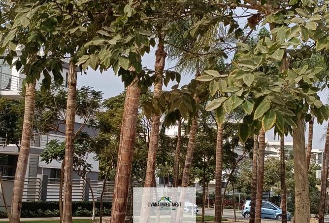 8302549 - Property Image 3