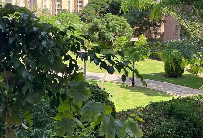 8236989 - Property Image 3