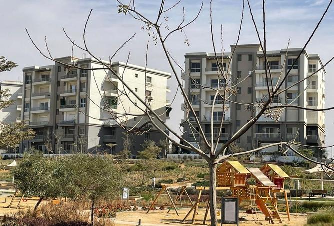 8131607 - Property Image 2