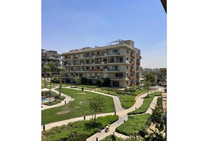 8288373 - Property Image 3