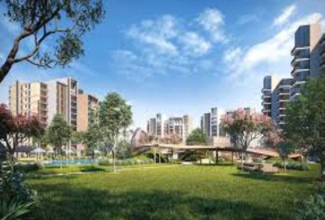 8323813 - Property Image 3