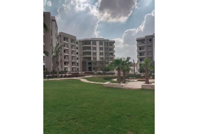 8211056 - Property Image 3