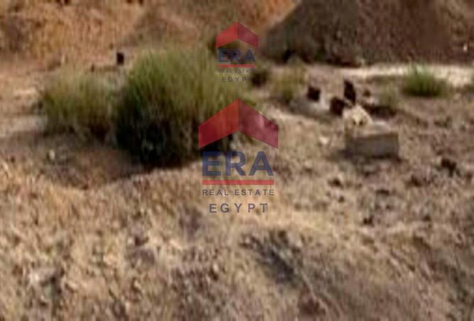 8442115 - Property Image 3