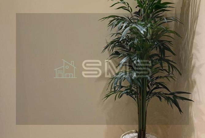 8478350 - Property Image 3