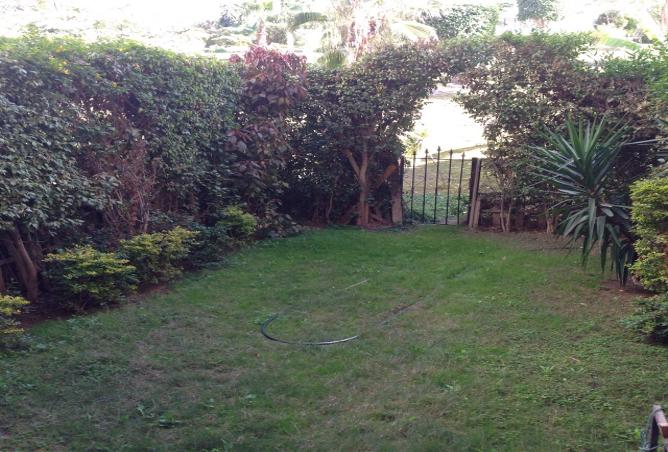 8231354 - Property Image 3