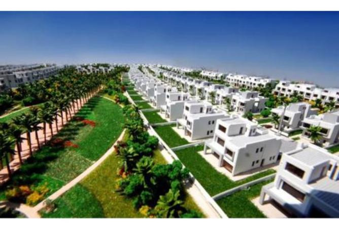7996767 - Property Image 3
