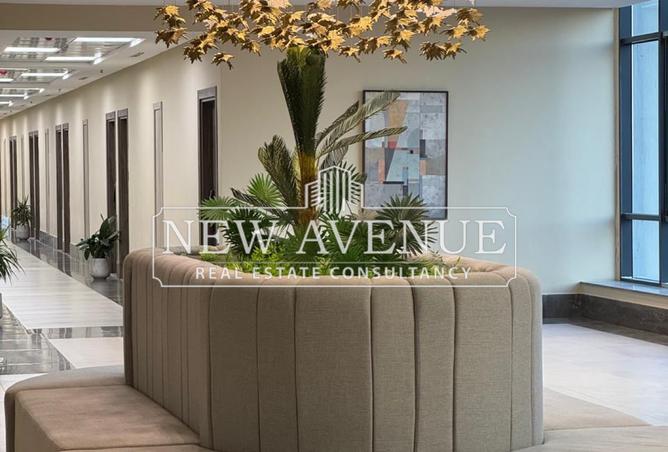 8386489 - Property Image 3