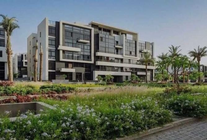 8233542 - Property Image 3