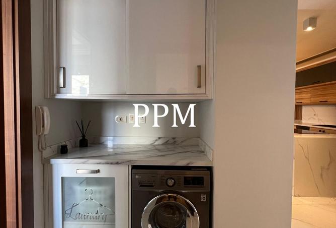 8416479 - Property Image 3