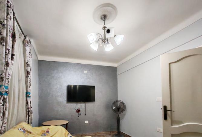 8456841 - Property Image 3