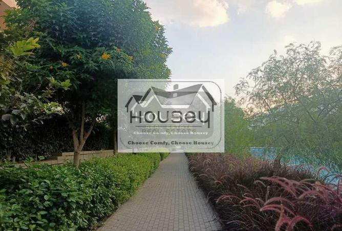 8362242 - Property Image 3