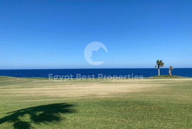 8046285 - Property Image 2