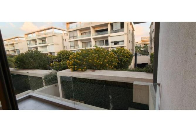 8503378 - Property Image 3