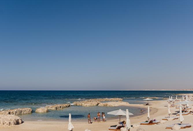 7946069 - صورة العقار 3