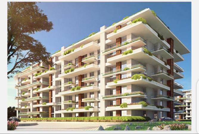 8090434 - Property Image 2