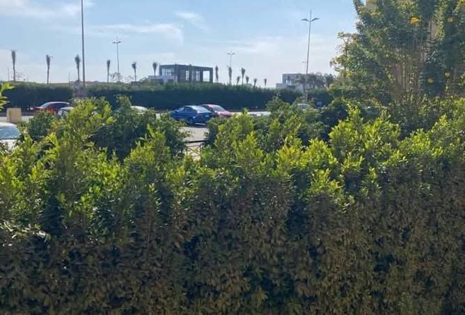 8498835 - صورة العقار 2