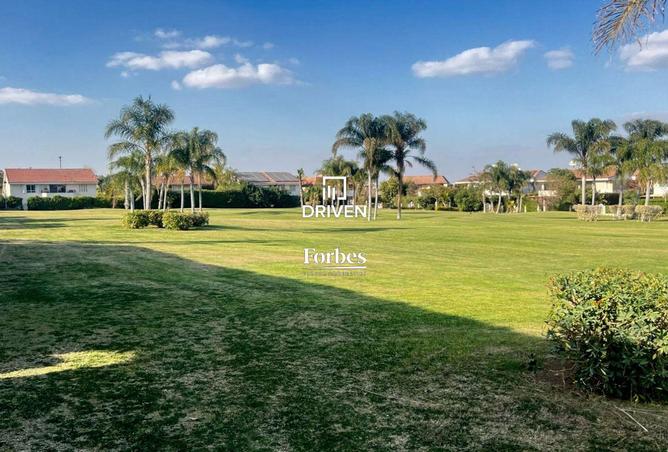 8105444 - صورة العقار 3