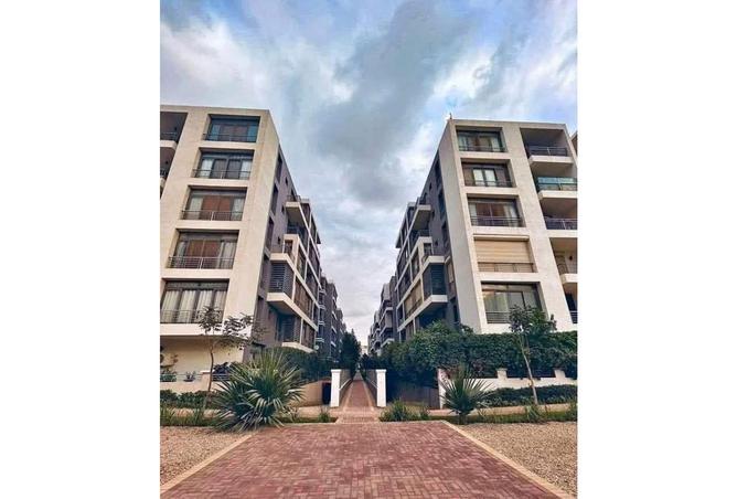 7995927 - Property Image 3