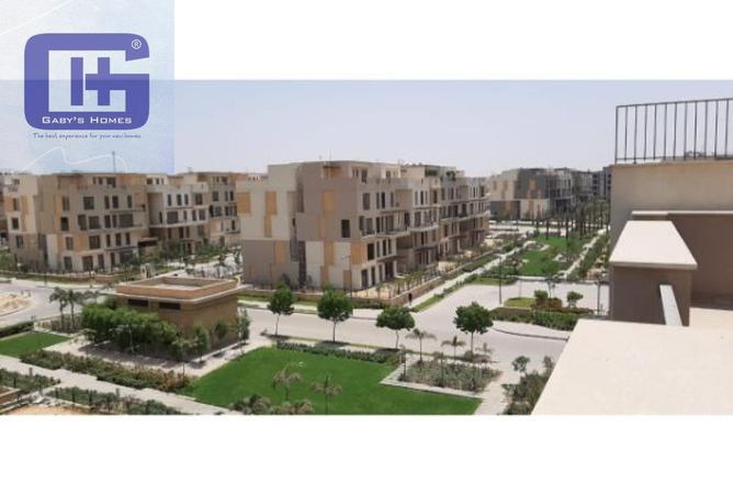 8276779 - Property Image 2