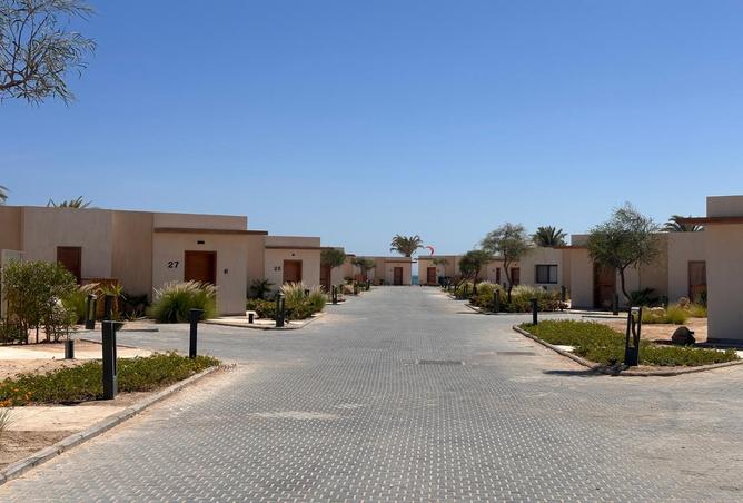 7999431 - Property Image 3
