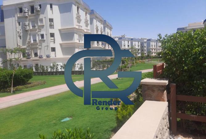 7951777 - صورة العقار 2