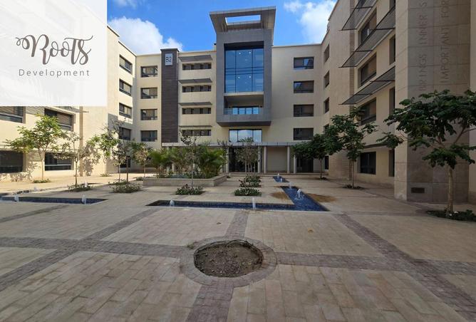 8363144 - صورة العقار 3